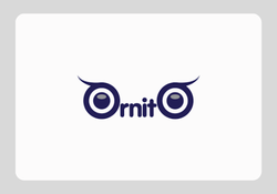 Teklif Kitap Ayın Yayınevi